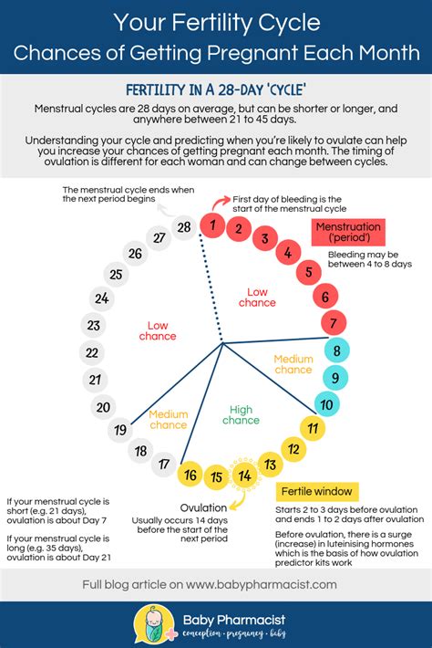 chances of getting pregnant calendar