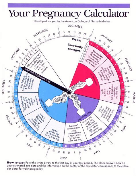 how do i calculate my cycle to get pregnant