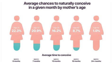 how likely is it to get pregnant at 42