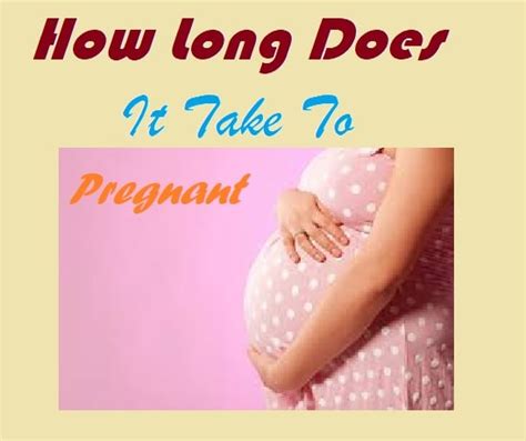 how long to get pregnant after breastfeeding