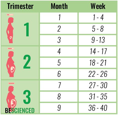 how long will it take me to get pregnant calculator