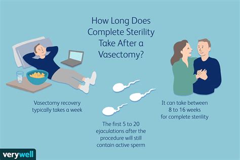 how many women get pregnant after vasectomy