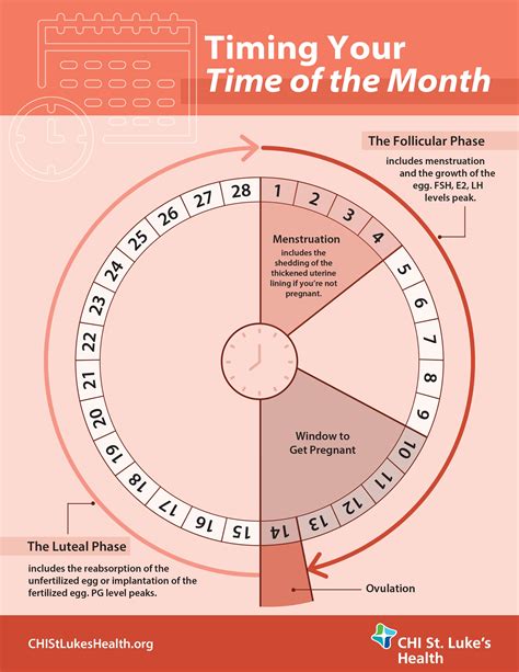 how to count menstrual cycle to get pregnant