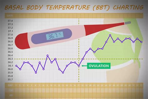 how to get pregnant using basal body temperature
